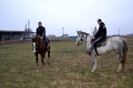 Занятия в конно-спортивной секции в музейно-туристическом комплексе Казачий остров